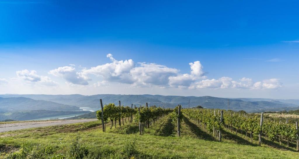 Villa Franka 113 Bašanija Eksteriør bilde